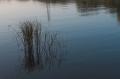 Brielse meer Brielse meer